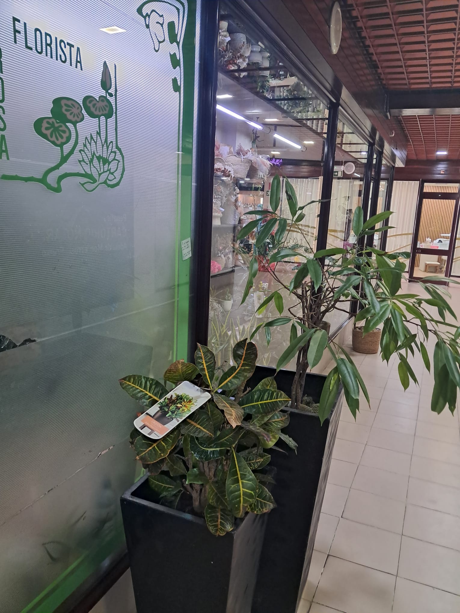 Trabalho realizado pela Fatirosa